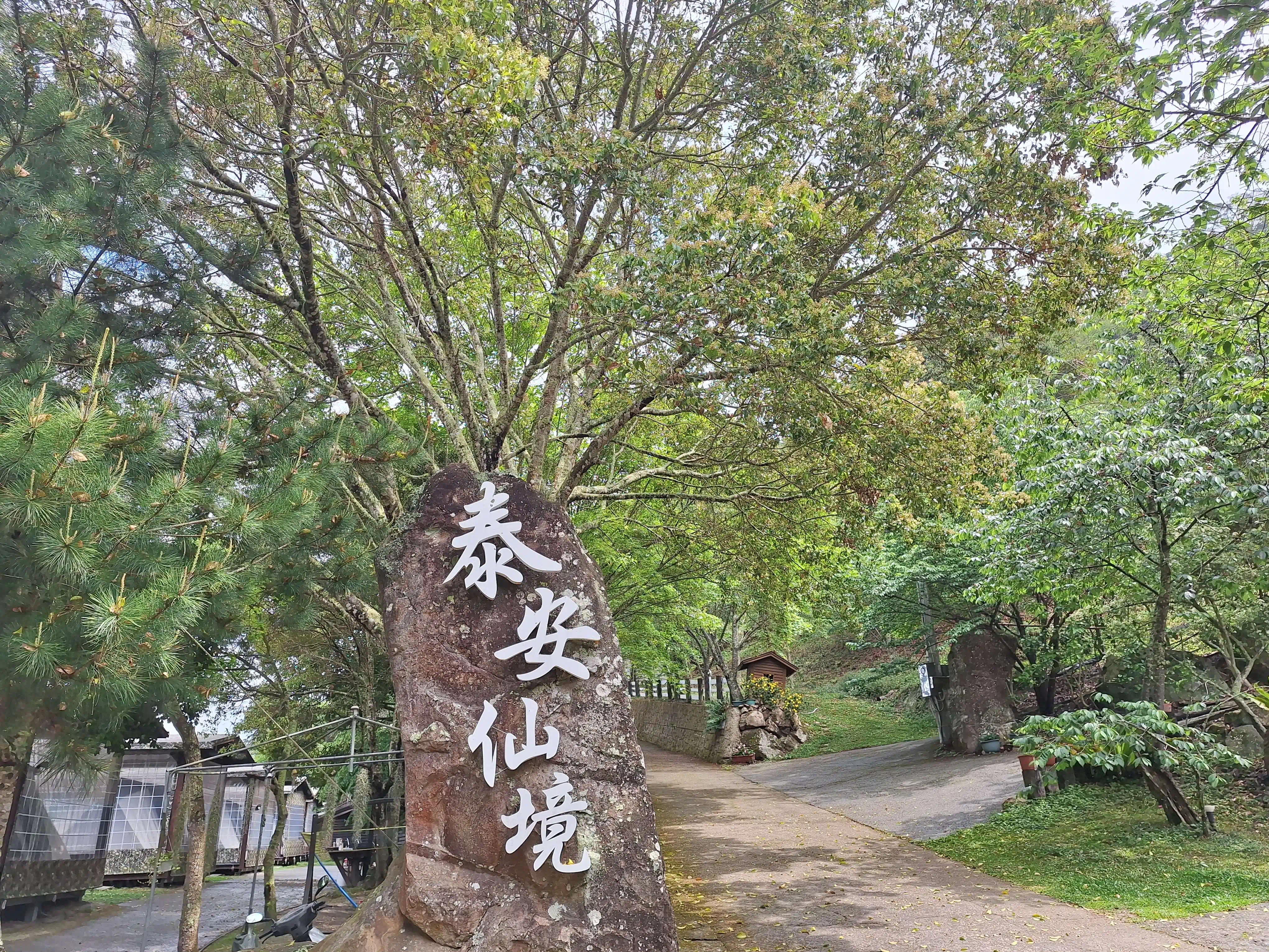 【第二露】苗栗泰安仙境露營區｜懶人露營看超美雲海！新手初露不踩雷！